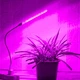 USB Фітолампа LED для Рослин та Розсади 10W з пнучким подовжувачем та адаптером Grow Light Full Spectrum - зображення 2
