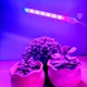 USB Фітолампа LED для Рослин та Розсади 10W з пнучким подовжувачем та адаптером Grow Light Full Spectrum - зображення 4