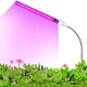USB Фітолампа LED для Рослин та Розсади 10W з пнучким подовжувачем та адаптером Grow Light Full Spectrum - зображення 5