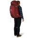 Рюкзак туристический Osprey Aura AG 65 enchantment purple WM/L (009.2800) - изображение 5