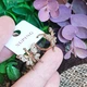 Серьги Xuping Jewelry бабочки длина 1.5см ширина 1.6см медицинское золото позолота 18К с1584 - изображение 4