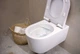 Унітаз підвісний HANSGROHE EluPura S 540 мм AquaFall Flush 60193450 + сидіння soft close 60148450 - изображение 2