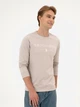 Свитшот мужской U.S. Polo Assn G081SZ082-000-2303161(Taş) L Бежевый (8683859425549) - зображення 4