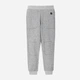 Детские утепленные штаны-джоггеры для мальчика Reima Sangis 5200040A-9150 116 см (6438429814931) - изображение 1