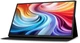 Монитор TFT ACER PM161QTbmiuuux (UM.ZP1EE.007) - изображение 4