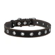 Ошейник Collar безразмерный 25 мм х 60 см Черный (02441 Col) - изображение 1