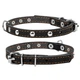 Ошейник Collar одинарный с украшениями 12 мм х 24-32 см Черный (00231 Col) - изображение 2