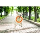 Кільце для апортировки PitchDog20 D 20 см Помаранчевий (25881036) - зображення 2