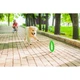 Кільце для апортировки PitchDog20 D 20 см Салатовий (25881167) - зображення 3
