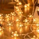 Светодиодная гирлянда на батарейках «Цветочная Аура» 3 м на 20 лампочек с декоративными цветочками - изображение 1