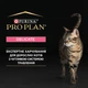 Сухий корм для кішок Purina Pro Plan Delicate Lamb зі смаком ягняти 10 кг (7613035846944) - зображення 7