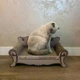 Когтеточка‑диван для кошек Purlov 60×32×29 см, коричневый - изображение 4