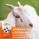 Замінник цільного молока Пан Гарбуз ПОЛІМІЛК для козенят ягнят телят від 14 днів життя 10 кг - зображення 3