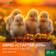 БВМД Пан Гарбуз "СТАРТЕР 50%" для курчат з 1 до 30 дня життя (25 кг) - зображення 2