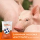 ЗЦМ Пан Гарбуз ЕКСТРАПІГ для поросят 25 кг - зображення 2