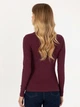 Гольф-водолазка жіноча U.S. Polo Assn G082SZ082-000-2296800 (Plum) M Бордова (8683859341856) - зображення 2