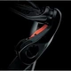 Катушка Shimano Ultegra FD C2000S 5+1BB 5.1:1 - изображение 3