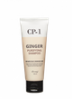 Восстанавливающий шампунь для волос Имбирь ESTHETIC HOUSE CP-1 Ginger Purifying Shampoo, 100 мл - изображение 1