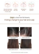 Восстанавливающий шампунь для волос Имбирь ESTHETIC HOUSE CP-1 Ginger Purifying Shampoo, 100 мл - изображение 2
