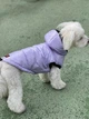 Жилет для собак Dogs Bomba лакований ліловий розмір 6 (2000000038568) - изображение 1
