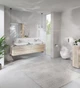Унитаз подвесной Grohe Euro Ceramic 102485SH00 безободковый альпин-белый без сиденья - изображение 11