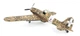 Збірна модель 1:32 літак Macchi MC.202 Folgore Italeri 2518 - изображение 6