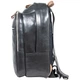 Рюкзак повсякденний Ashwood Чорний 18L (4555 BLK) - зображення 5