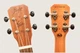 Укулеле Flight NUT310 Tenor - зображення 5