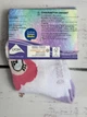 Шкарпетки дитячі для дівчинки My Little Pony 23-26р Білий (20/100) - изображение 3
