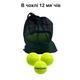 Набор мячей для большого тенниса SWDN Tennis Ball NE-TT-12 в чехле 12 штук - изображение 2