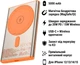 УМБ Hoco Q32 Bird PD20W Magnetic Wireless 5000 mAh Titanium Gold (BC_714740) - зображення 2