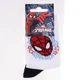Носки SPIDER MAN TETE SPIDERMAN + ETOILES белый Дети 19-22, арт.43890147-4 - изображение 2