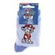 Шкарпетки PAW PATROL MARCUS світло-блакитний Діти 19-22, артикул 43890847-7 - зображення 2