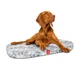 Чехол для лежанки WAUDOG Relax Скандинавия S 55х40 см Разноцветный - изображение 2