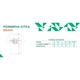 Футболка Brain 2022 S Orange - изображение 4