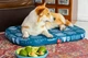 Чехол для лежанки WAUDOG Relax, рисунок "Абстракция", размер S, 55х40 см (1308-0104) - изображение 4