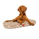 Чохол для лежанки WAUDOG Relax, малюнок "Трикутники", розмір S, 55х40 см (1308-0129) - зображення 2