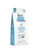 Беззерновой сухой корм Brit Care Grain Free Junior Large Breed Salmon для щенков и юниоров собак крупных пород с лососем 12 кг - изображение 1