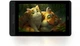 Huion Графический монитор 13,3" Kamvas Pro 13, USB-C,черный - изображение 6