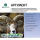 Цукровий буряк Аргумент 1 кг - изображение 1