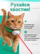 Игрушка для кота лазерный ошейник, игрушечный ошейник с лазером для кота и кошки, забавная игрушка для домашних кошек развивающая - изображение 4