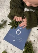 Карточки для фото новорождённого мальчика Месяцы 1–12 Milestone Cards Baby Boy - изображение 3