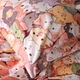 Комплект постельного белья MirSon Бязь 17-0775 Bombshell cats 143 x 210 см (2200011237435) - изображение 4