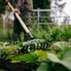 Грабли для роз Fiskars Solid 1011597 - изображение 3