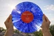 Вінілова платівка The Bee Gees Australia 12" унікальне блакитне видання BLUE - изображение 2
