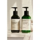 Шампунь Beyond Healing Force Scalp Clinic Shampoo 500 мл (8801051573428) - изображение 3