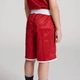 Шорти боксерські дитячі,двосторонні Leone Double Face Junior XL (зростання 134-142 см) Синій, червоний - зображення 9