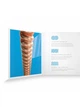 Струны для акустической гитары D'Addario XSAPB1253 Phosphor Bronze Maximum life 12/53 - изображение 3