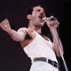 Інтер'єрна картина Фредді Мерк'юрі, Freddy Mercury, Queen, Квін, концертне ретро фото, рок, 29×42 см (id7287) - зображення 2