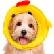 Комір-подушка для кішок Lesko 2212CGAN028 XL Chick післяопераційний захисний від вилизування - зображення 2